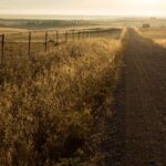 17079期大乐透开奖结果公布,大奖花落谁家? 2xmr8r53vh