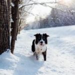 17075期开奖结果揭晓:幸运号码震撼公布 68xug0l3qy