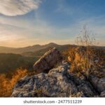 17063期体育彩票开奖结果最新公布 8yi27