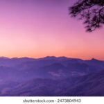 17072期开奖结果揭晓,幸运号码震撼公布 dcmt4i83